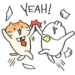 Cat Company x ugly rabbit