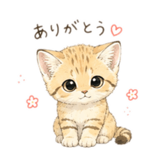 miiii_20260801235937