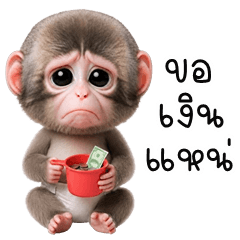Diaper Monkey (E-San)