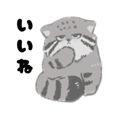 Mei_20260802032601