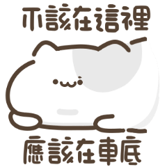 Super Cute Cat Stickers!!