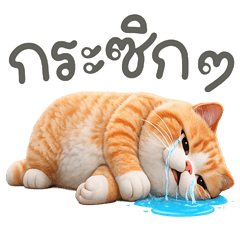 Meow som OK