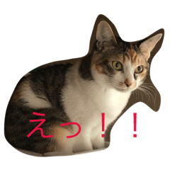guratomugi