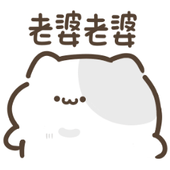 Cute cat looking for a wife