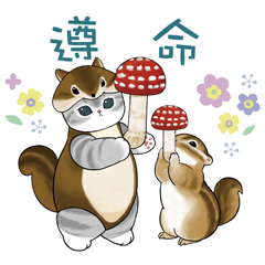 北歐風貓咪