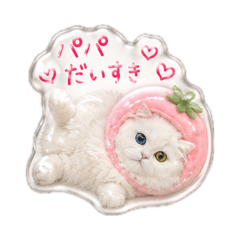 Luna miracle cat