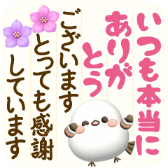3D Long-tailed Tit Simple long letter2