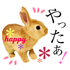 Mugyu!*rabbit*Frequently used greetings