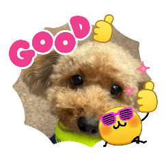 mome_20260731223817