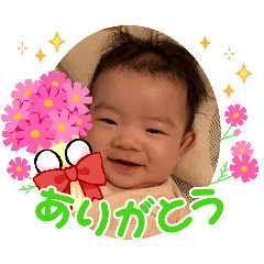 HASSY_20260803000756