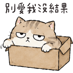 fatQcat2-don't love me too much