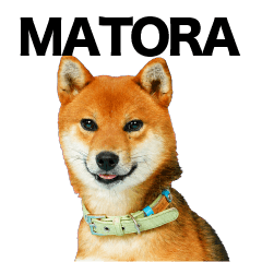 Matora's Sticker