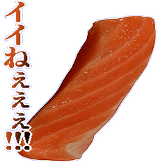 キモ激しく動く！サーモン