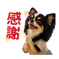 YUKI_20260803103320