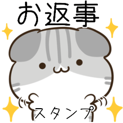 Everyday reply cat sticker