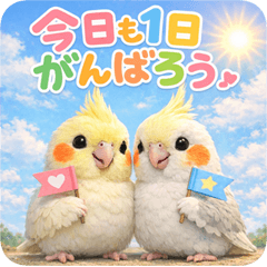 cockatiel np