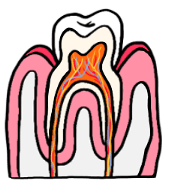 tooth cute sticker