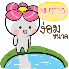 NUTTO Blooming_N e