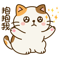 可愛的胖三花貓