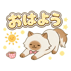 ねここさんの家族に使えるスタンプ
