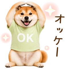 飛び出る☆癒ししば犬の日常・毎日
