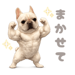 DOG STAMP ORDER_20260803140025