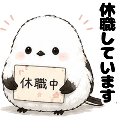 Shima Enaga on Medical Leave