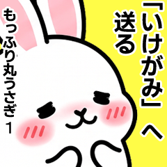 For Ikegami - Moffuri maru Rabbit 1