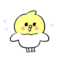 cockatiel  2