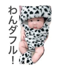 kotuchan