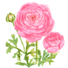 [英語]大人かわいい水彩の花とやさしい言葉