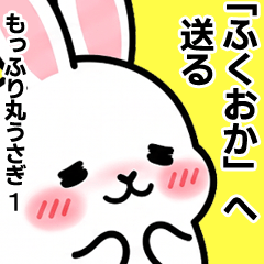For Fukuoka - Moffuri maru Rabbit 1