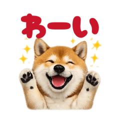 Miiii_chaan