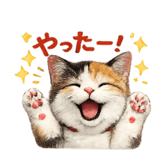 Realistic Calico Kitty