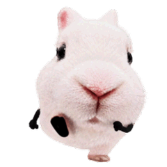 Marshmallow Bunno