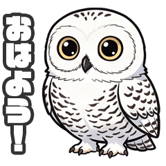 Snowy owl.
