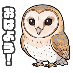 Barn Owl.