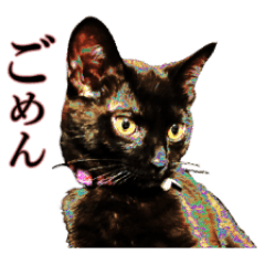 黒猫よっちゃん Line スタンプ Line Store 黒猫よっちゃん Line スタンプ Line Store