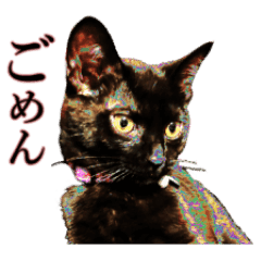 黒猫よっちゃん Line スタンプ Line Store