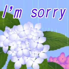 Collection of sorry