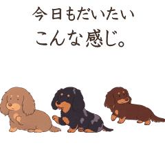 Same Vibe Today: Doxie Trio