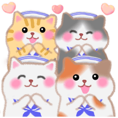 Four cat summer