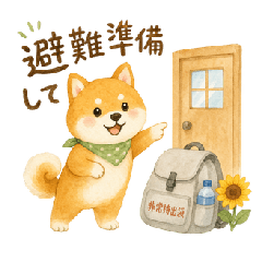 Shiba Inu and Disaster Preparedness
