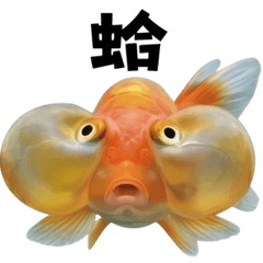 ♡各種魚♡