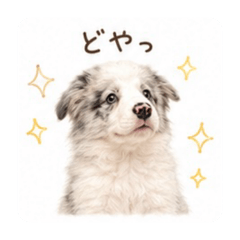 masafii_20260731004218