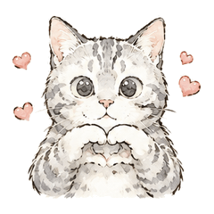 SilverTabbyCatLove