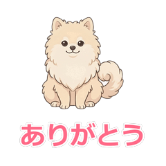 Daily Pomeranian (Cream).