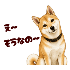 I am Taro! Mixed-breed dog (No. 01)