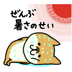 楽しいネガティブ芝犬（夏）