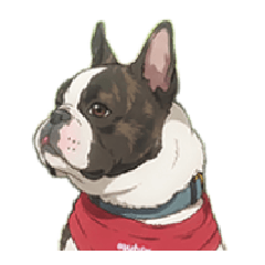 pied frenchie3